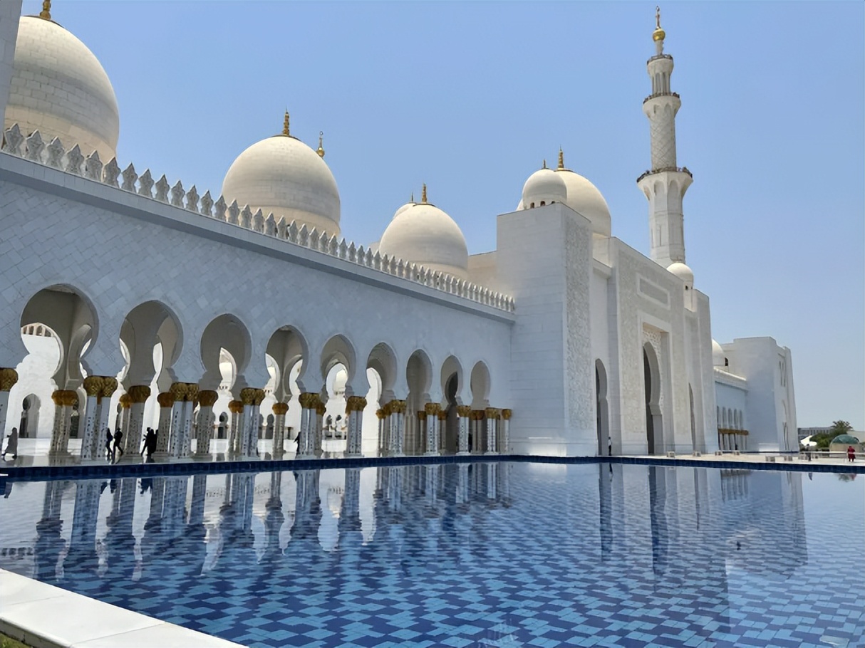 原来圣裔血统,也难逃童婚的命运啊