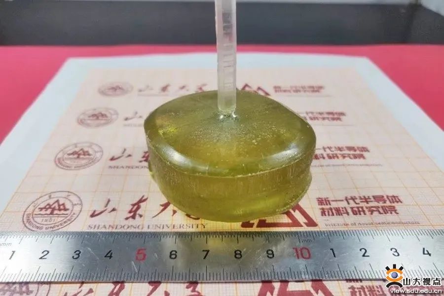 您的SDU学术一览，请及时签收！