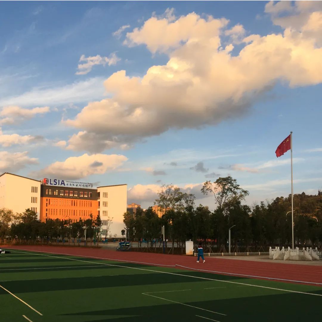 秋季限定|昆明九所学校，送你诗意校园里的一抹金