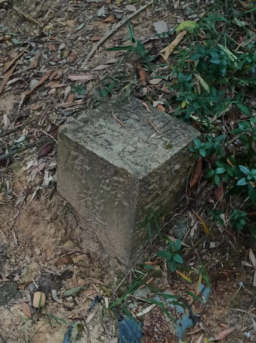 白云山适合徒步吗,一路徒步上白云山