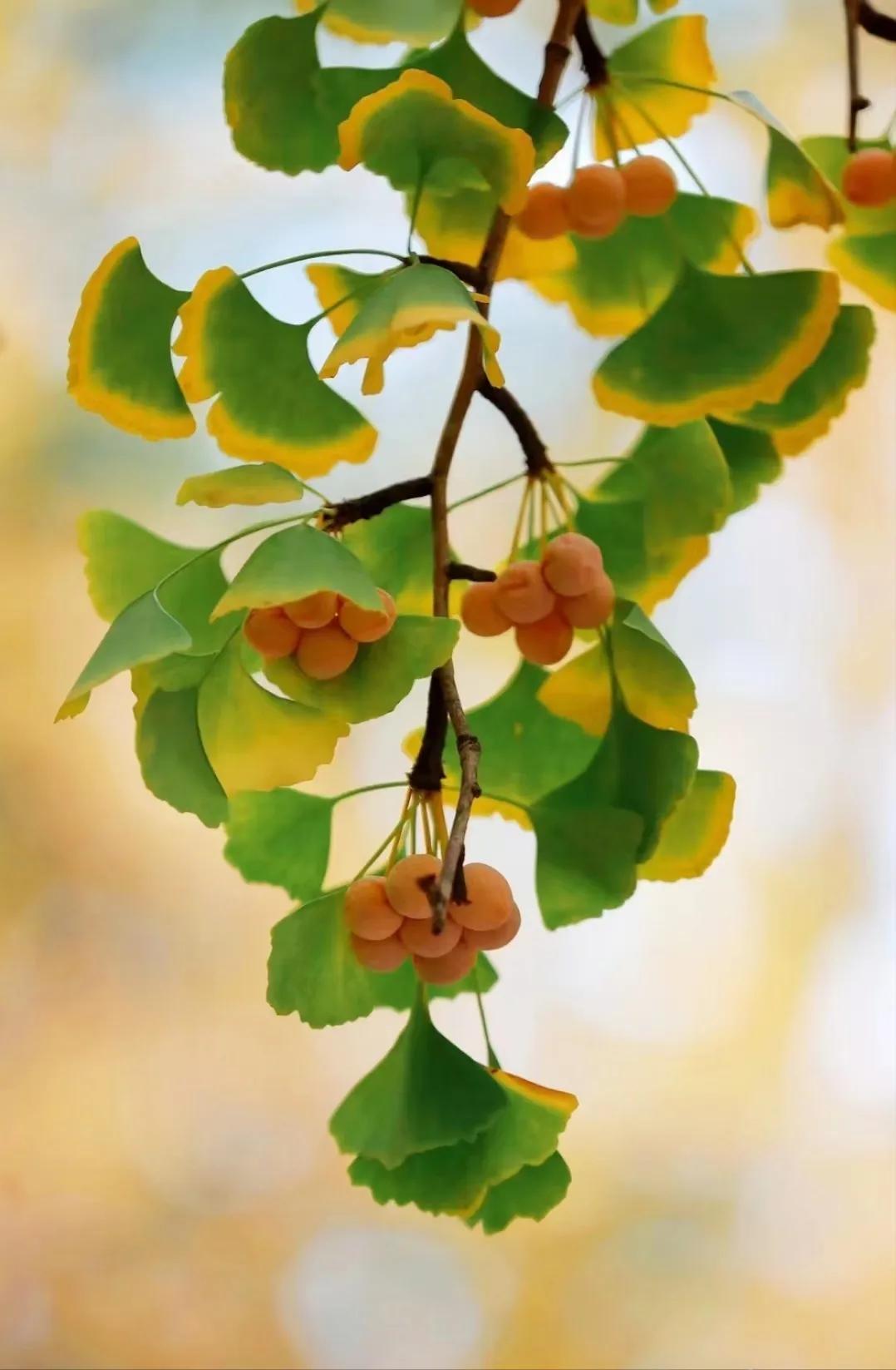 最简单实现财务自由的方法,创业和打工哪个容易实现财务自由