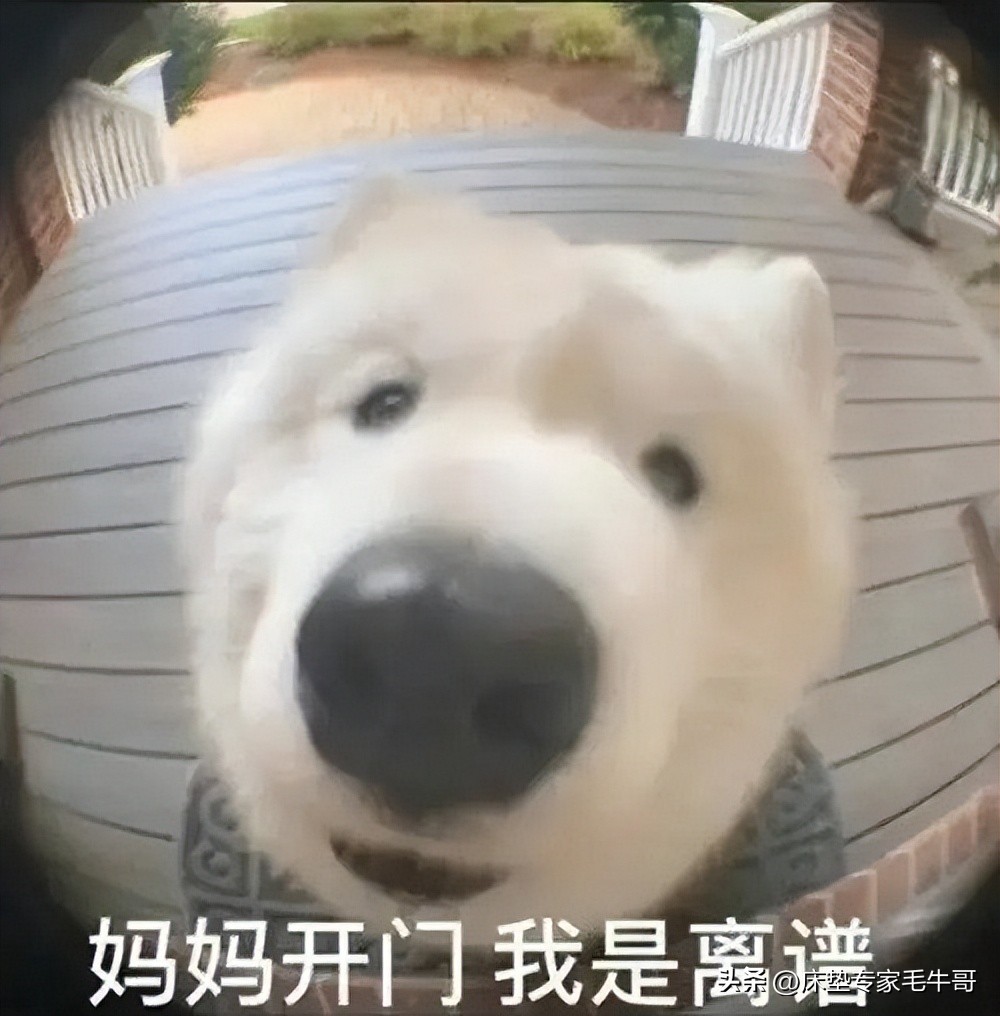 装修小白必看超全家装指南,装修小白必看书单推荐