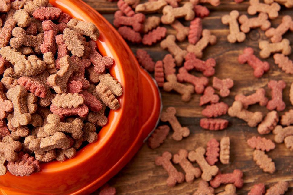 热门狗粮国产测评推荐,狗粮推荐真实测评