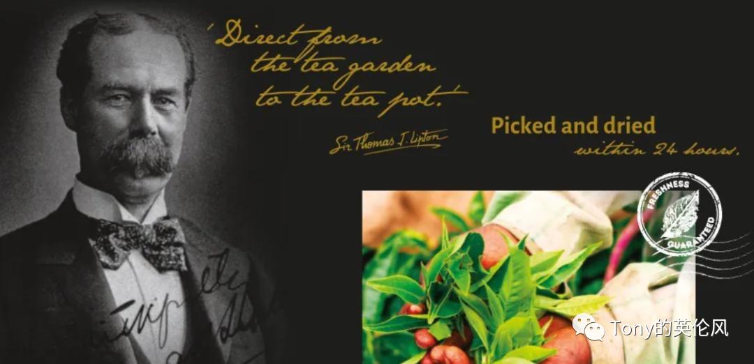不产茶的英国如何将立顿推向世界第一？