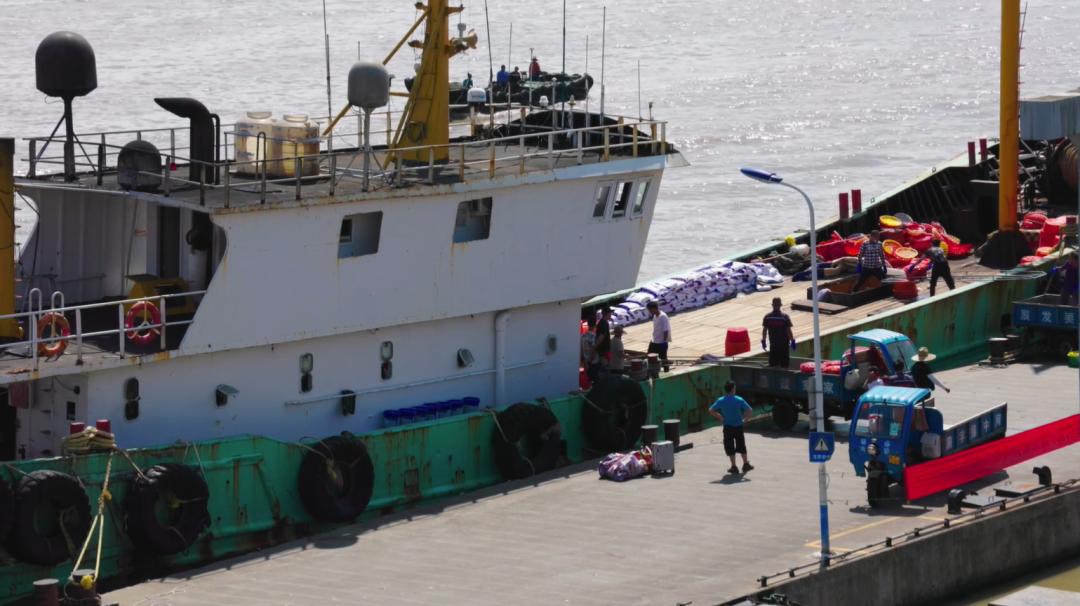 80后小夫妻直播4小时卖出300单,90后小伙创业卖海鲜背后的辛酸