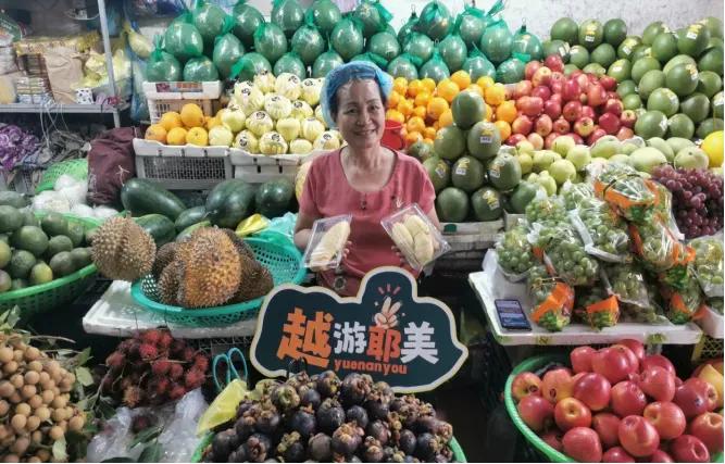 带你游越南视频,带你去越南看风景