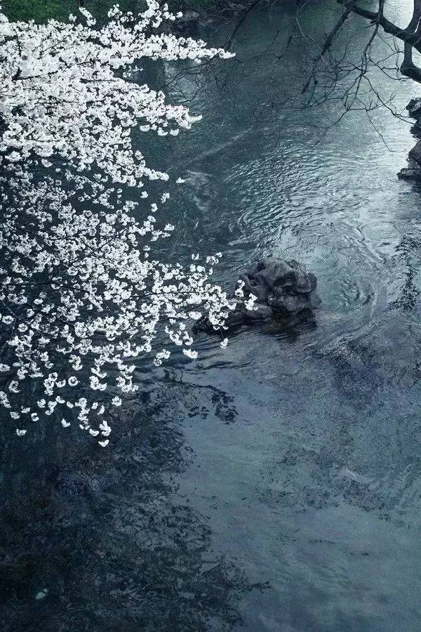 中国自古以来最好的十首诗词,中国水平最高的十首诗词