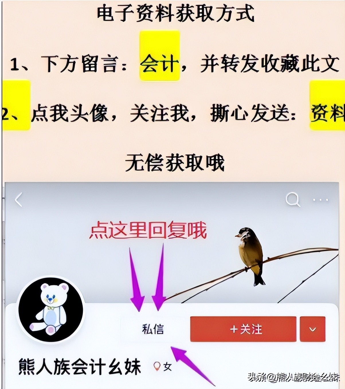 月薪1万的女会计,代账会计的真实经历