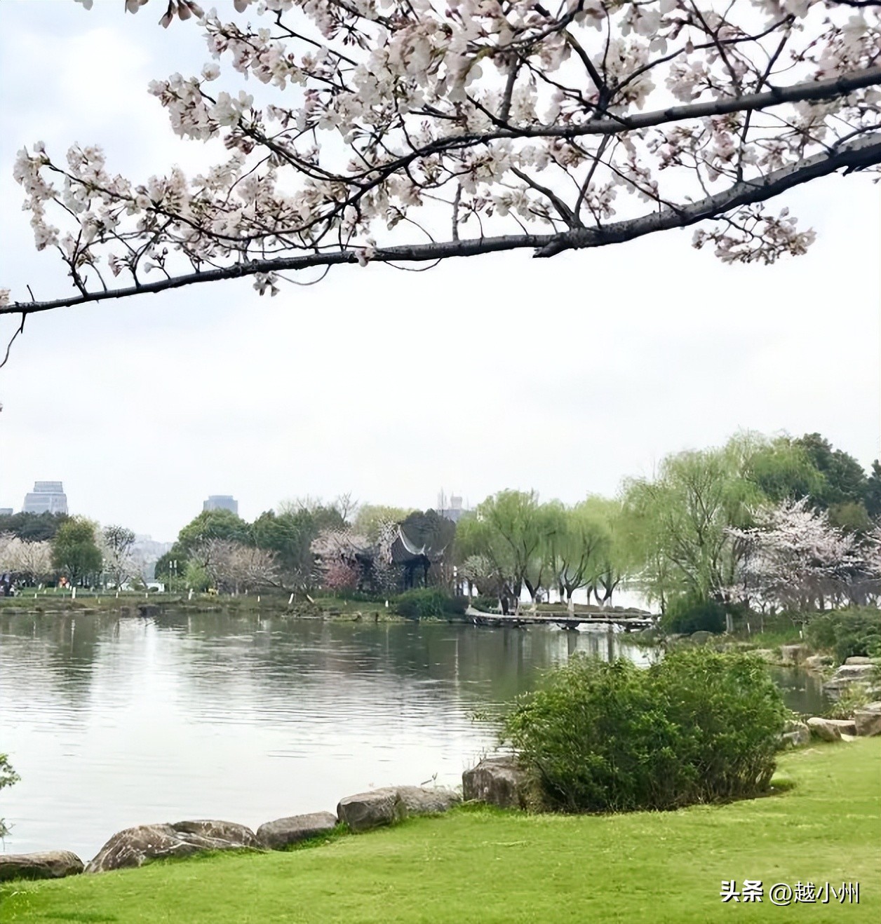 小州城市|揭秘!绍兴第三大湖柯桥太子湾