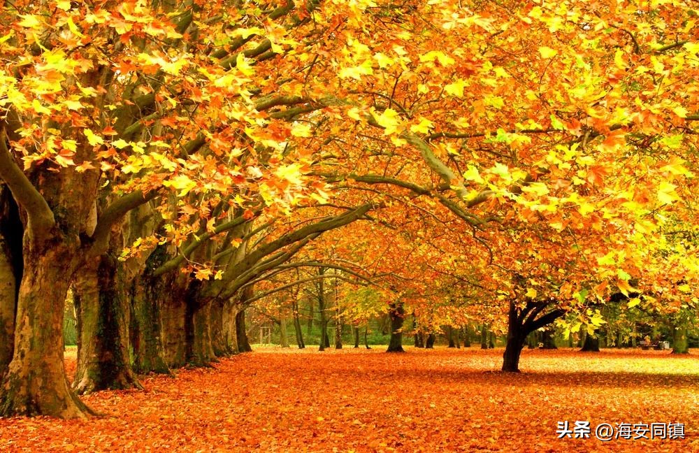 夏俊山海安,江苏省海安市夏俊山