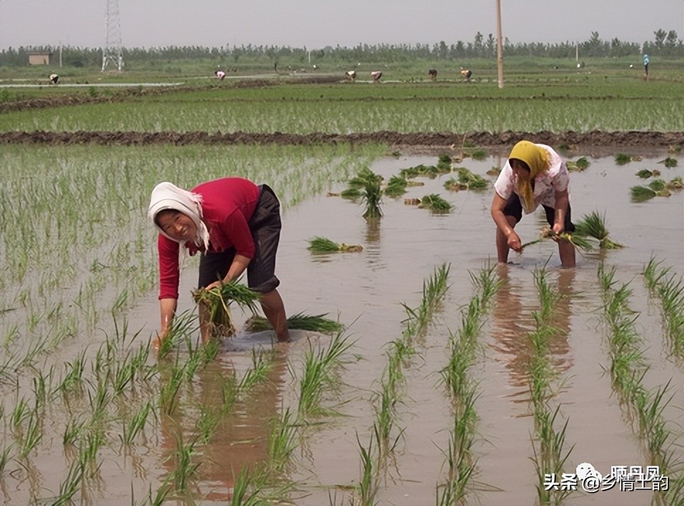刘春荣福建,刘春荣的作品