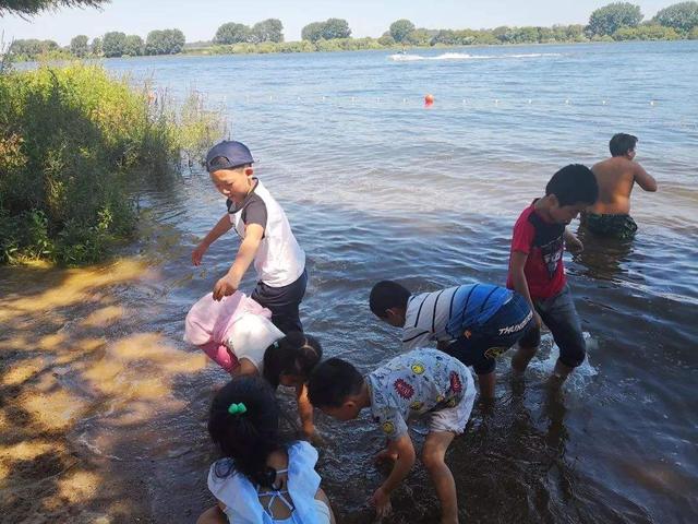 水蛭不小心放到开水里了,水蛭不小心掉进芥末里会怎么样