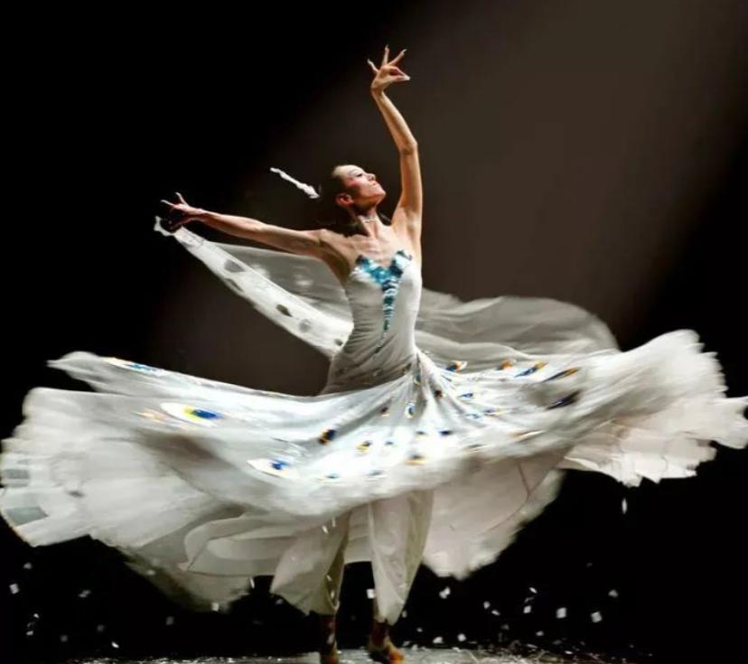 杨丽萍生活起居需要男助理照顾,杨丽萍的生活问题怎么解决