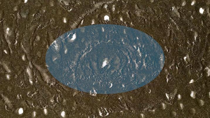 为什么草坪里面有很多水,不可思议的草坪水