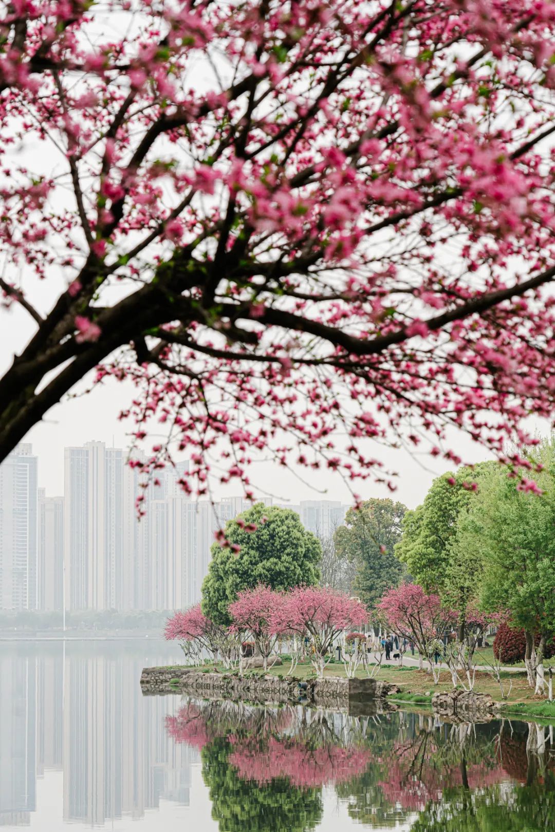 冇得粤语,武汉汉阳桃花岛特色美食