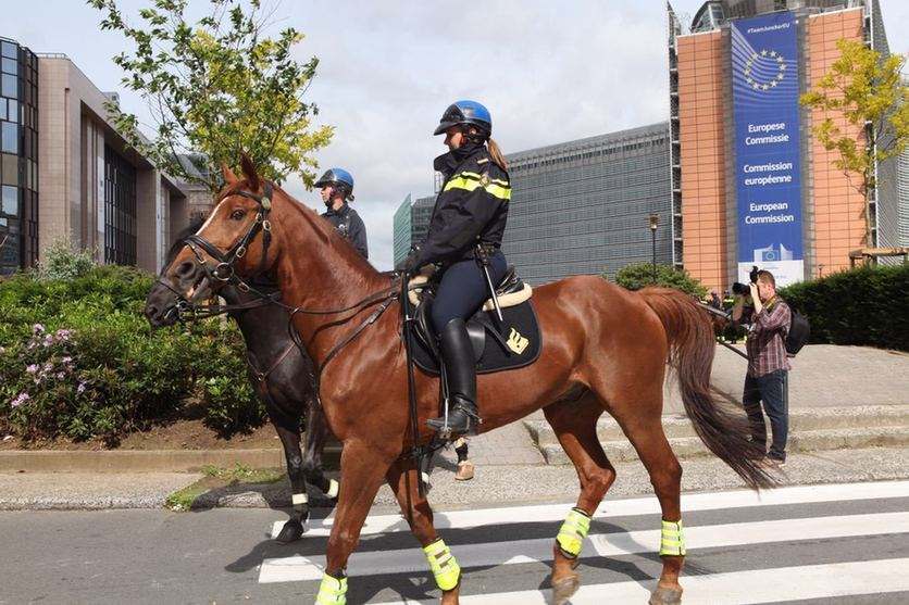 荷兰国内现状,荷兰为啥那么开放和发达