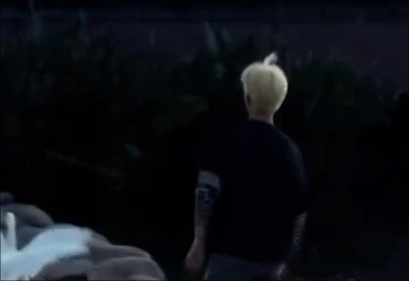 内娱明星对陈飞宇的态度,陈飞宇娱乐圈团宠么