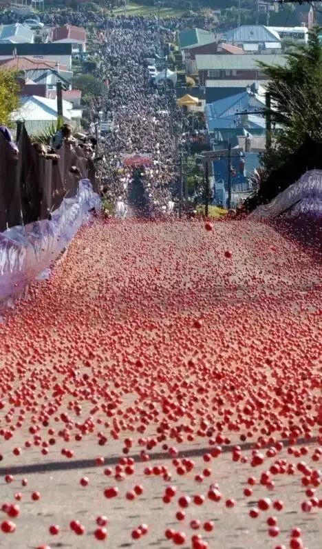 新西兰吉百利巧克力工厂,新西兰吉百利巧克力