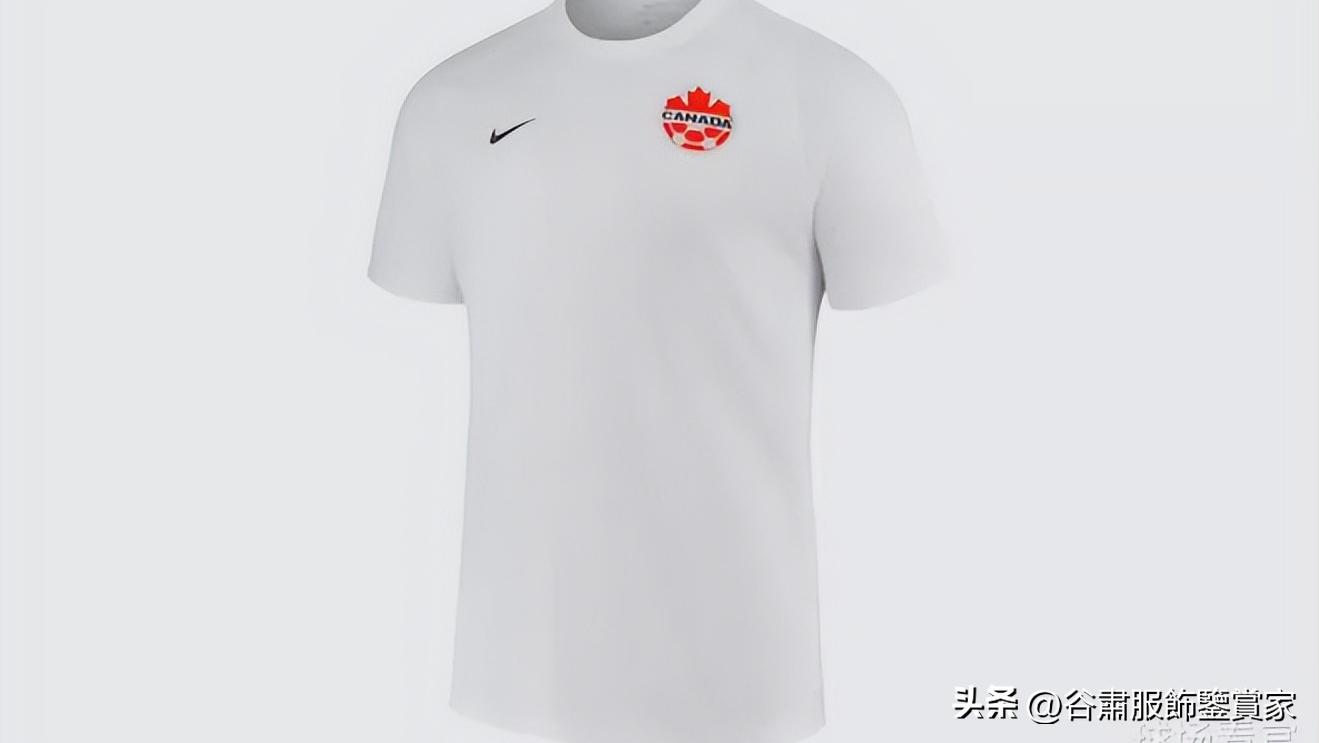 第四十四集:世界杯开始了,我们一起领略下每个球队的服饰?