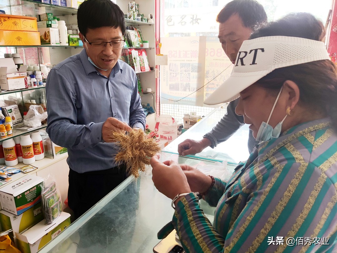 农村的父母为啥不让姑娘读研,农村的父母为啥不让姑娘念书