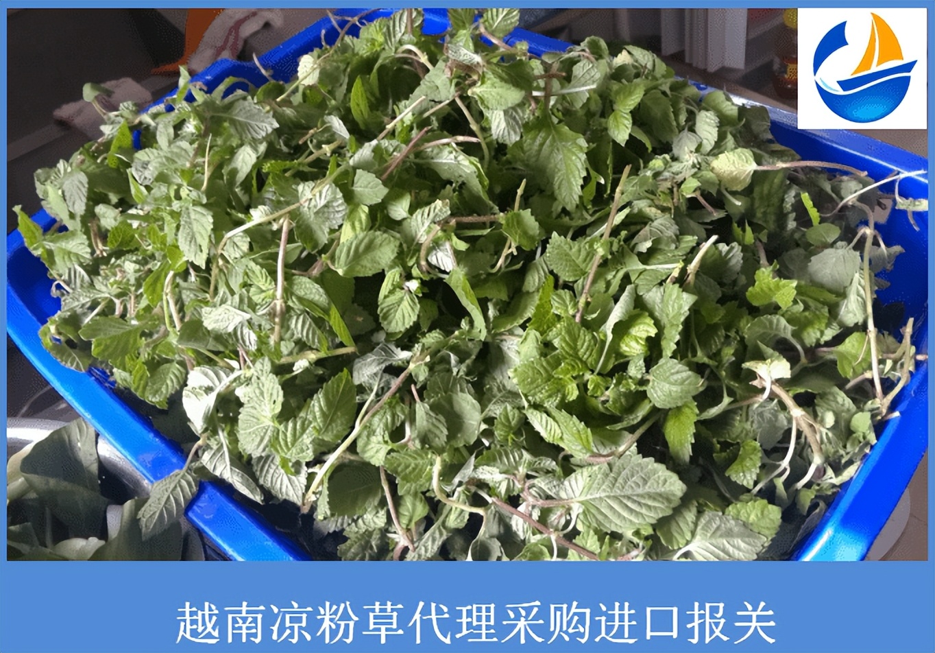 越南水果进口清关代理价格,越南进口报关代理公司电话