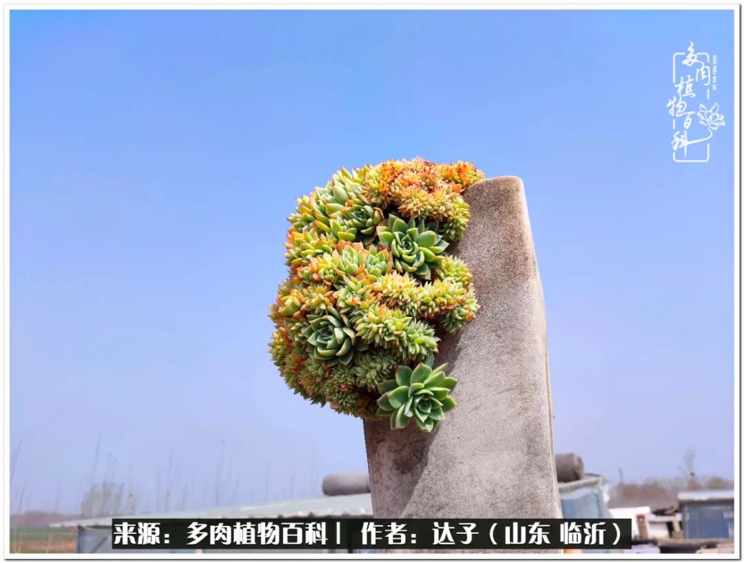 活在当下珍惜眼前平凡的生活,活在当下感慨万千