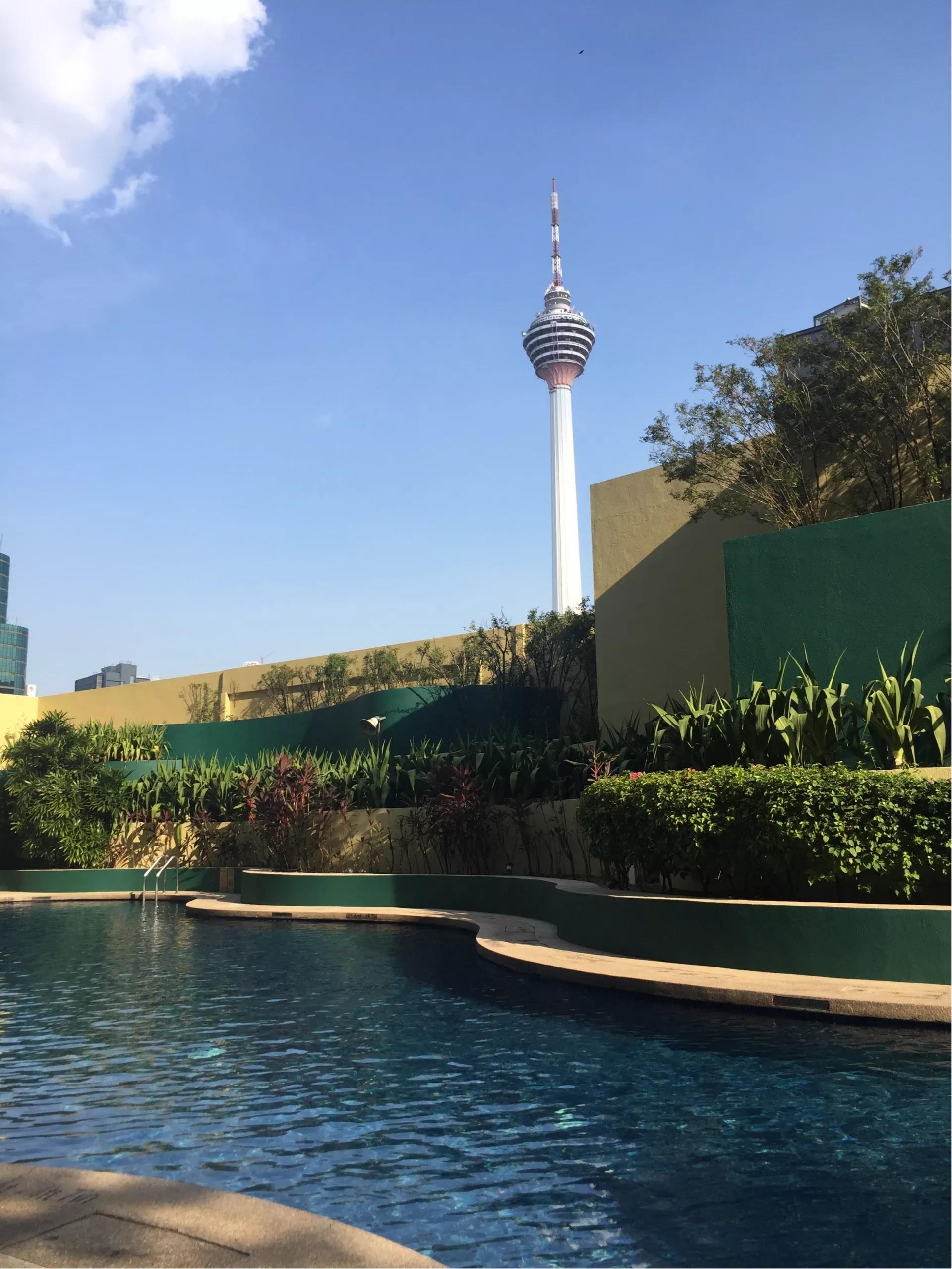 钱猫猫王者荣耀,钱猫猫的视频