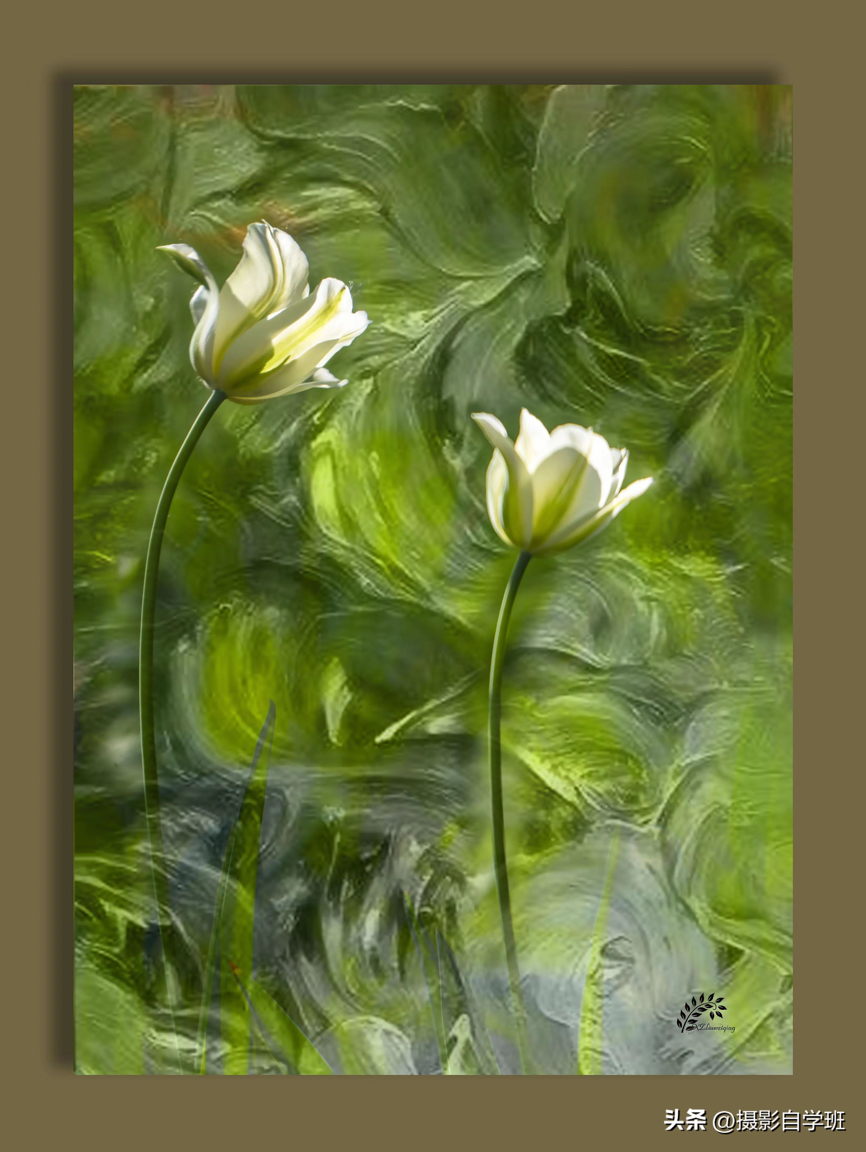 第二十一届摄影作品征稿,摄友投稿图片