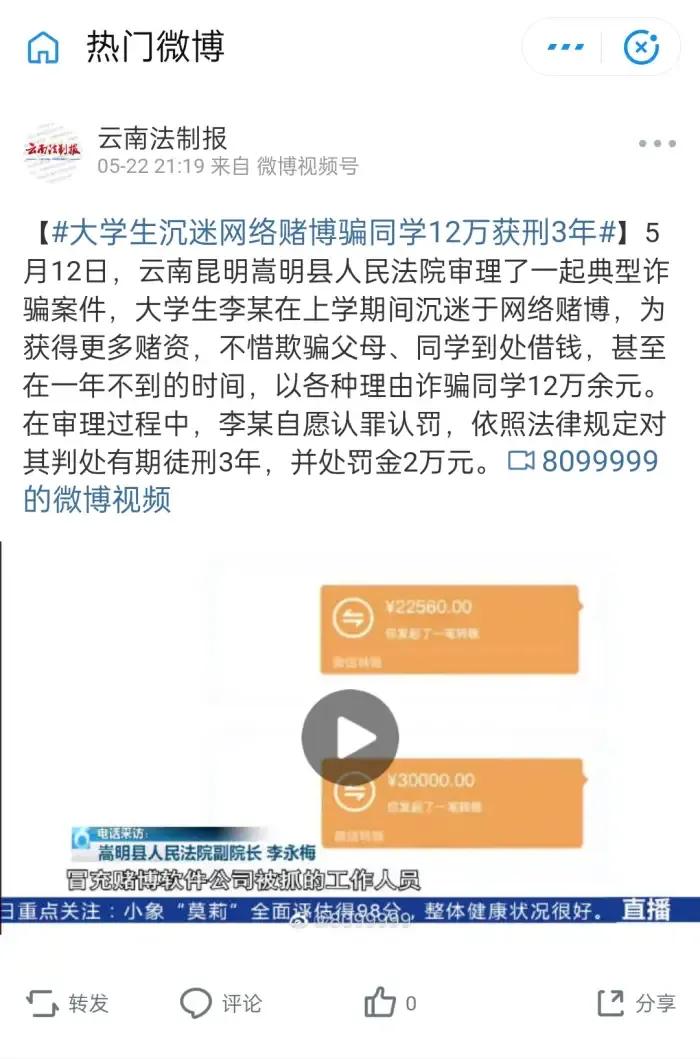 世界杯开幕看球,戒赌世界杯分析