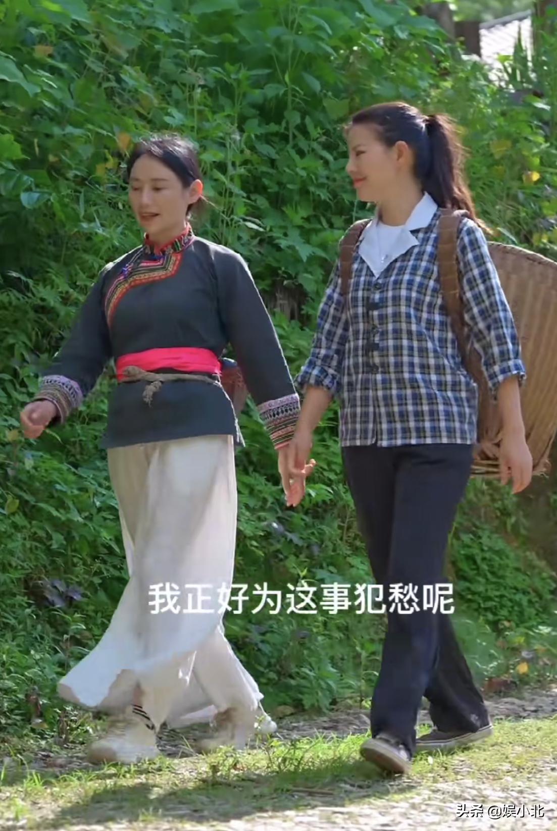 李子柒停更之后再更新还能成功吗,李子柒17年停更声明原文