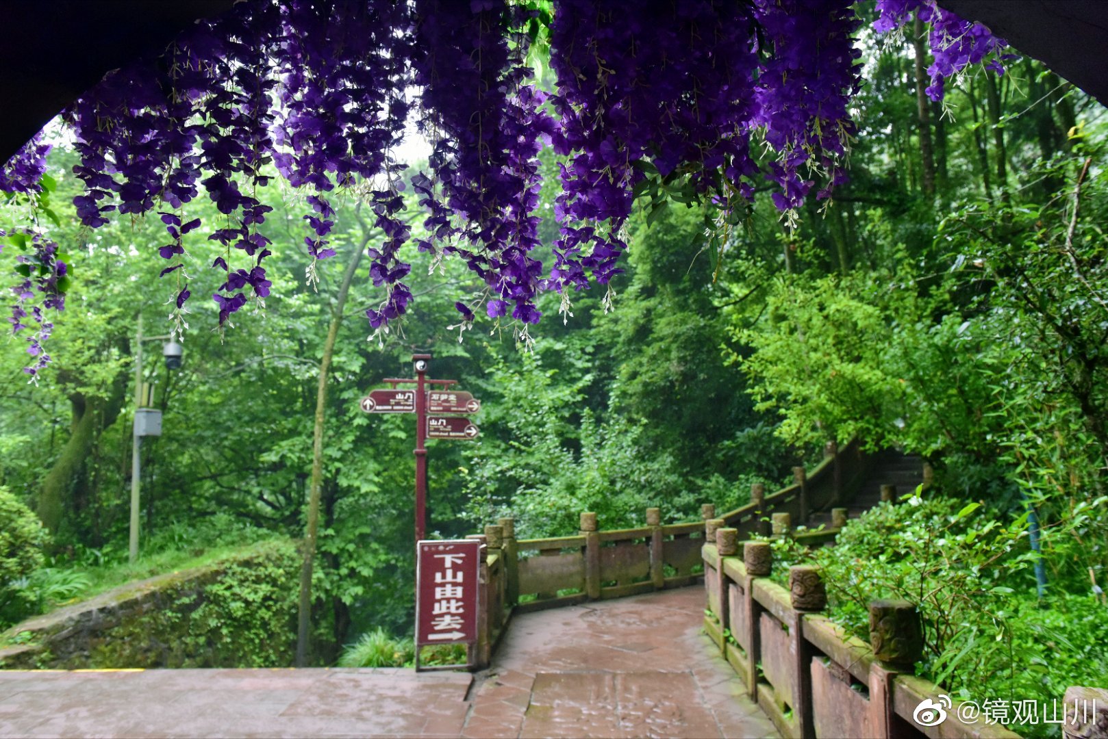 青城山夏季避暑两日游,青城山游玩攻略夏季