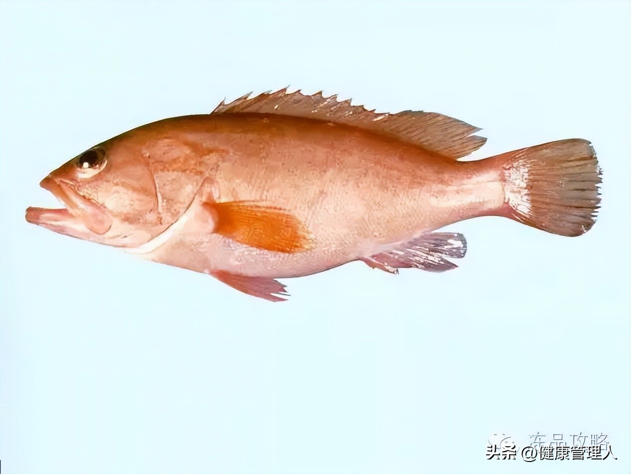 美容护肤食疗方案,美容护肤养生介绍