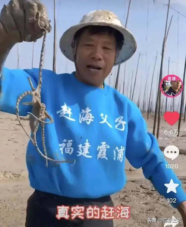 渔民儿子直播,赶海父子直播带货黄花鱼