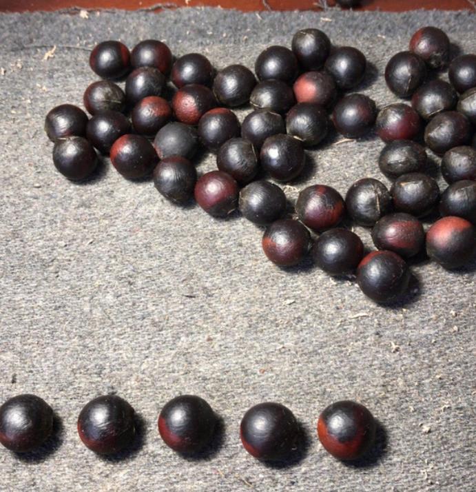 这种菩提子佛珠很容易就可以盘出玻璃底！南方公园里就可以捡到