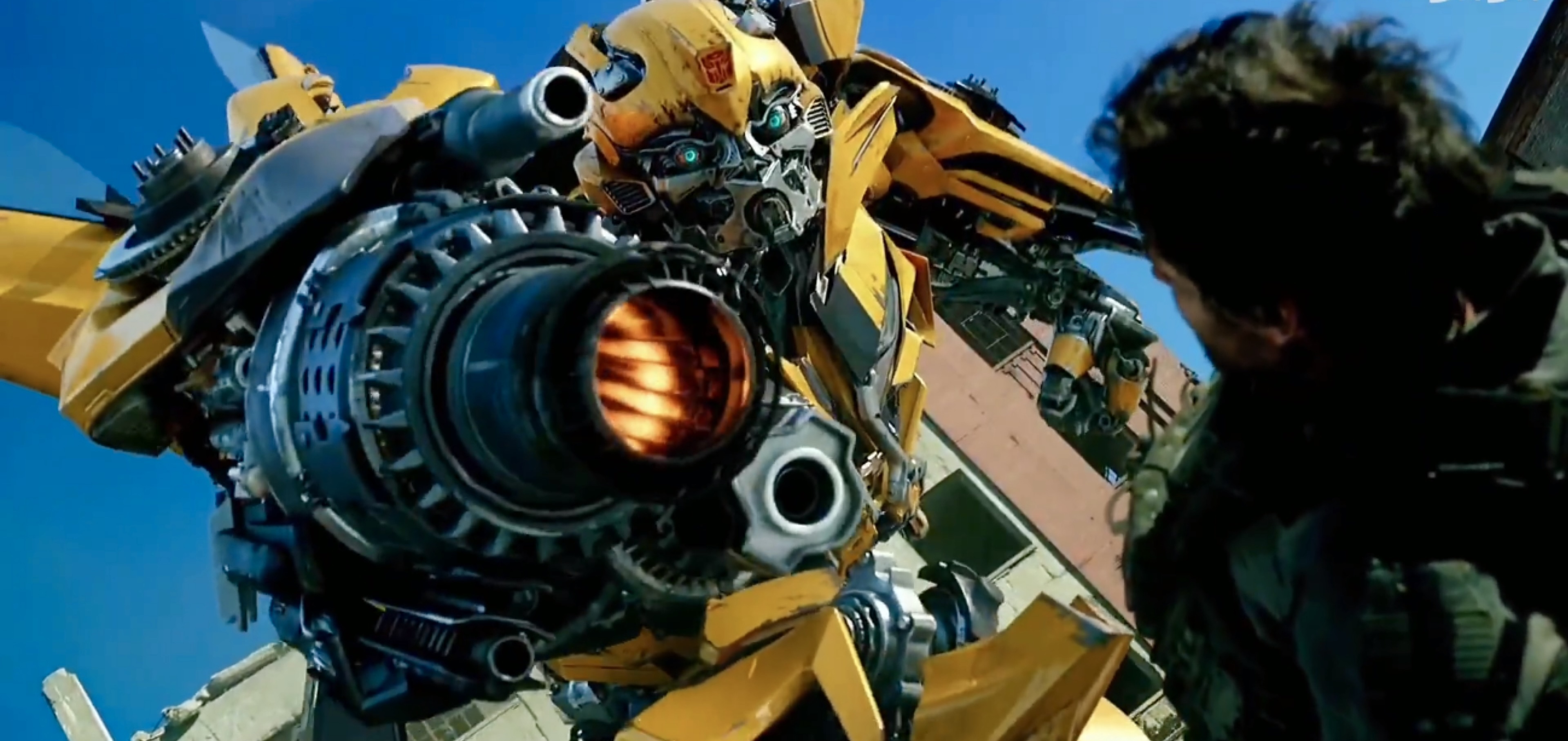 大黄蜂绝密档案活动什么时候开始,变形金刚大黄蜂档案全解析