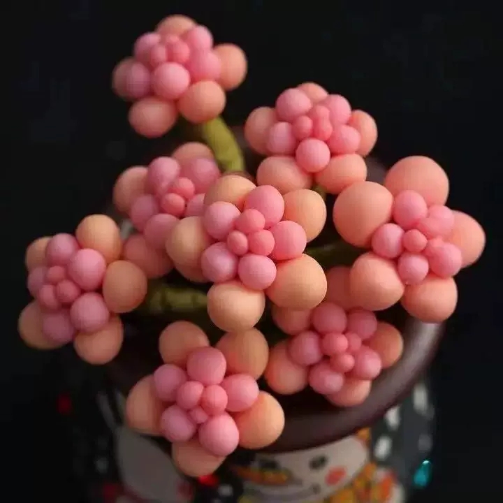 夏季怎么预防桃蛋化水,桃蛋夏季怎么养护