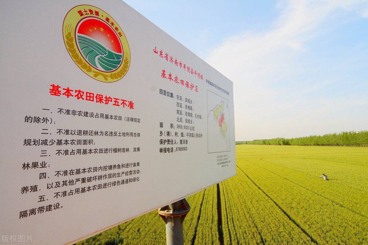 耕地撂荒，地力退化，粮食危机怎么办？专家：让农民种粮不吃亏