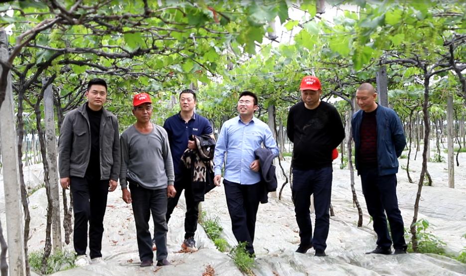 新洋丰肥业复合肥料,洋丰肥料和新洋丰有什么区别