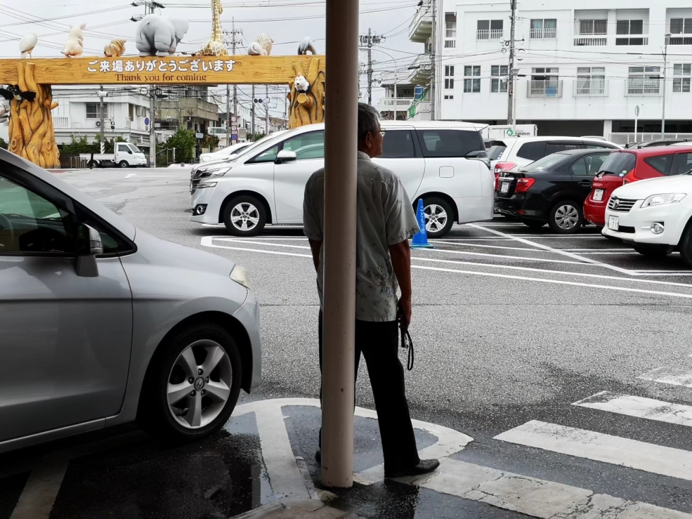 暑期档2019年,2019年暑期档