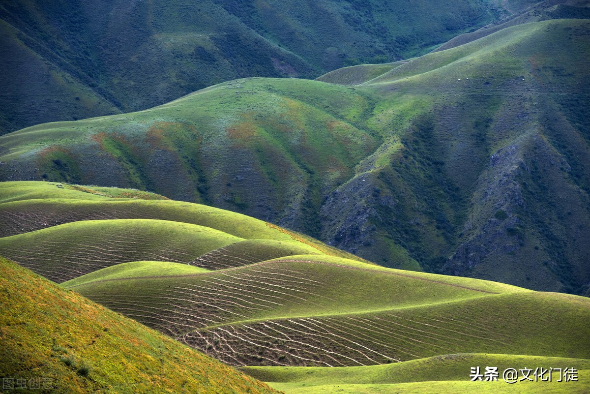 喀拉峻大草原导游词,喀拉峻草原导游词1000字