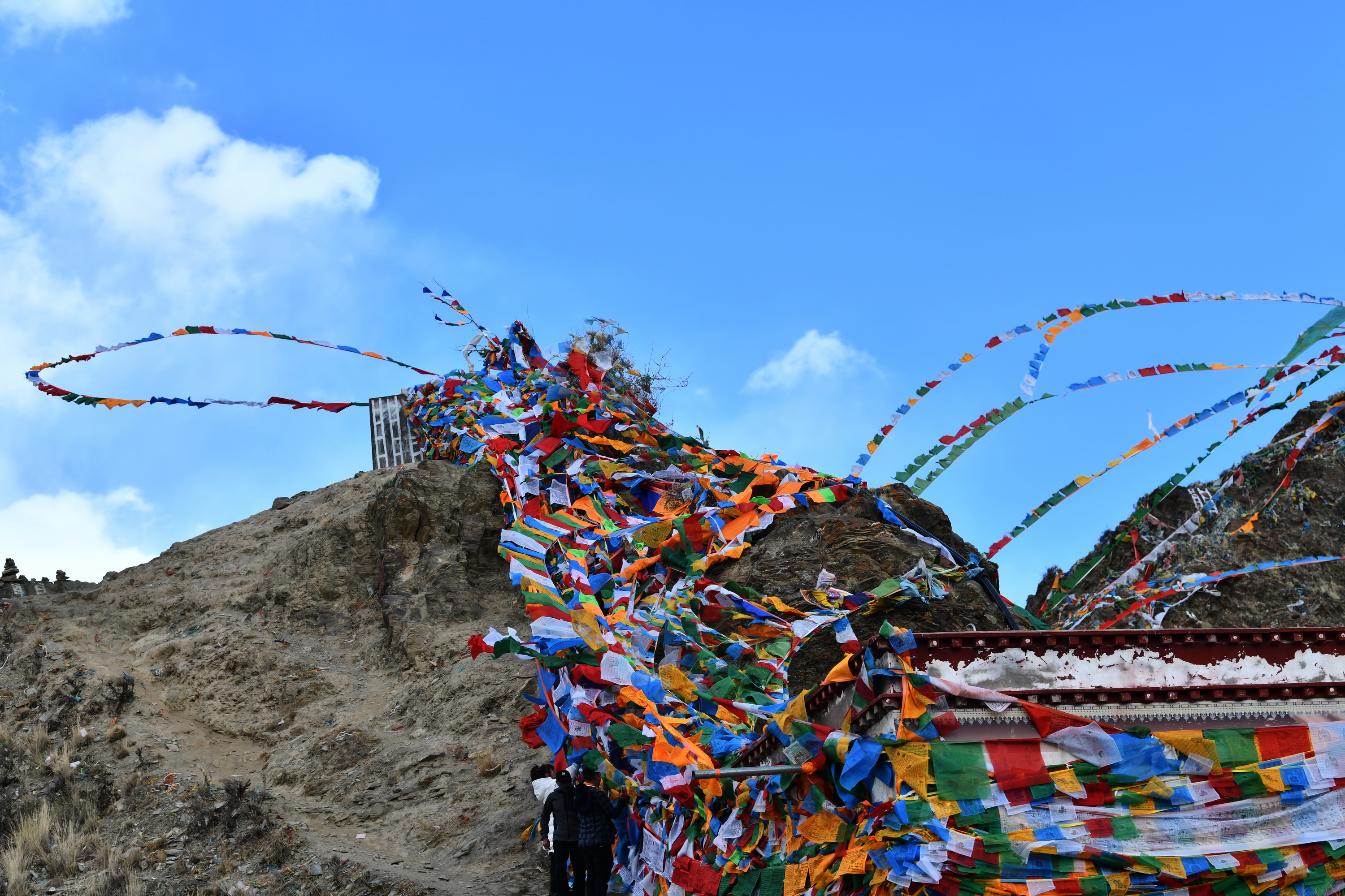 我的林芝一日游攻略,林芝看桃花西藏之旅