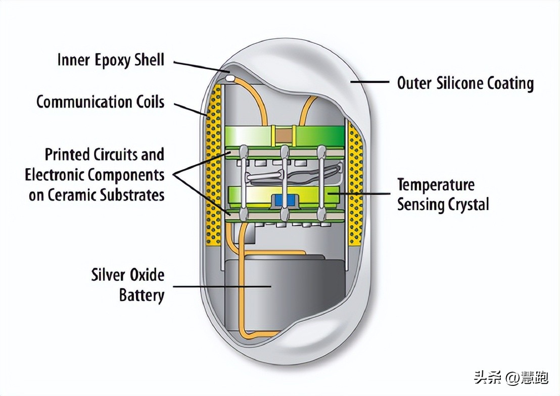 新一代苹果手表什么时候推出,苹果手表新品有什么提升