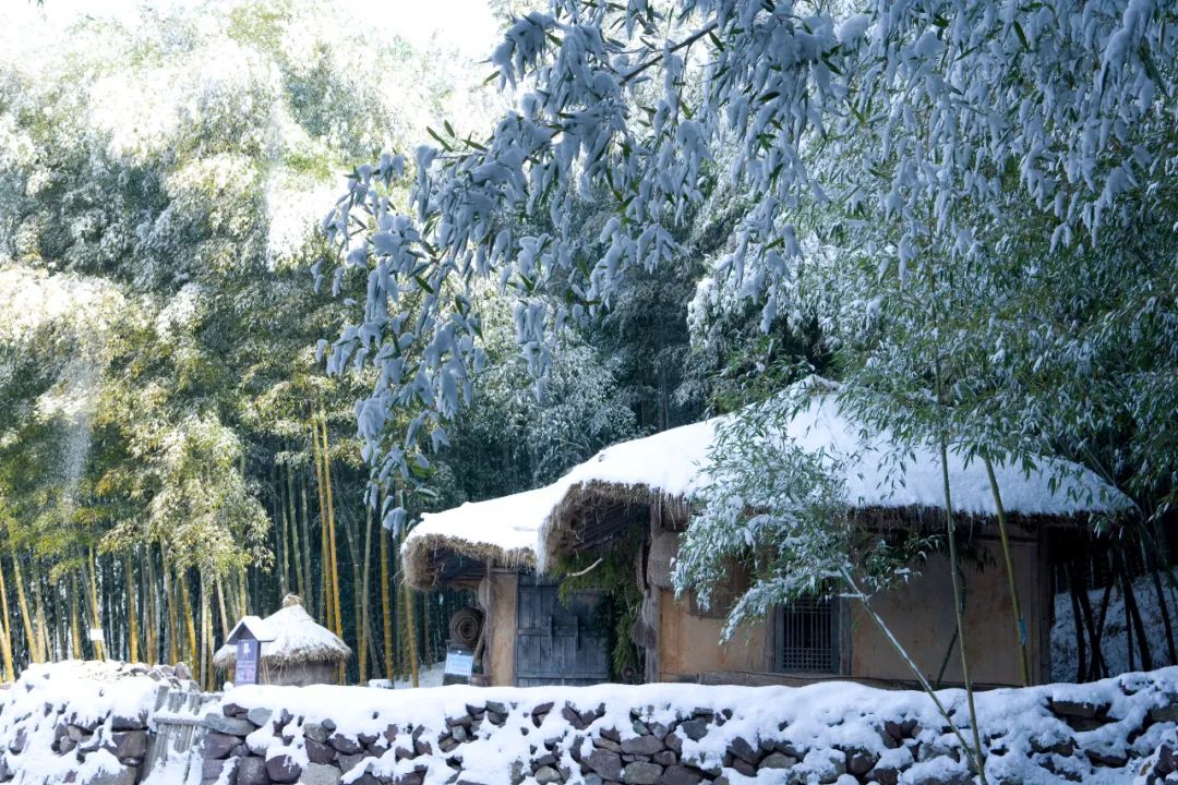 雪的唯美诗句冬雪,描写冬雪的优美诗句大全