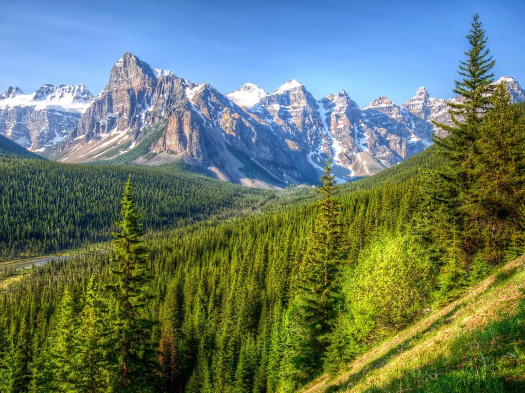 负离子和负氧离子有什么区别,负离子与水离子有何区别