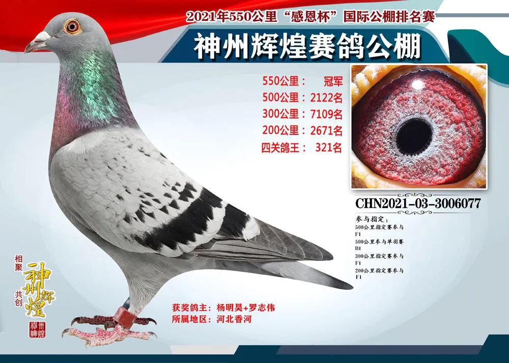 神州辉煌2020,神州辉煌赛事