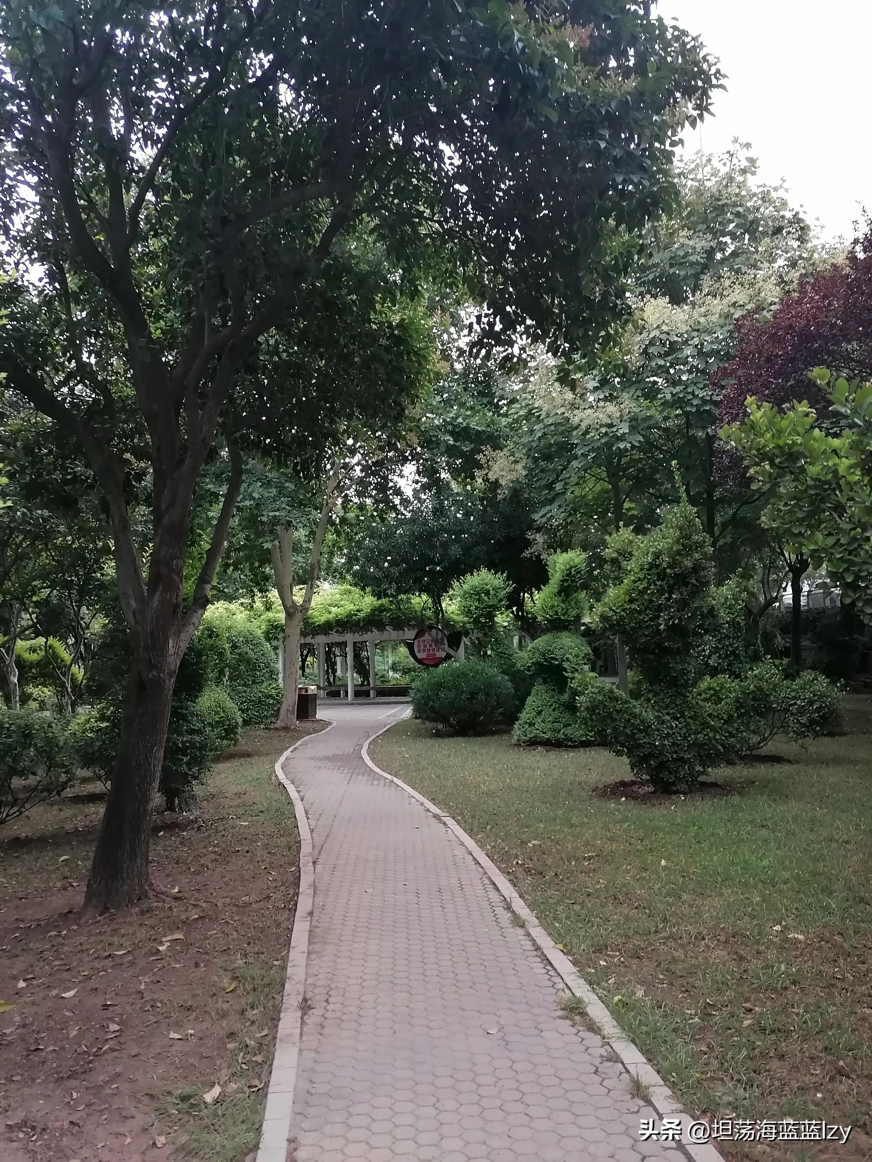 赞美城市美容师图片,怎么赞美一个美容师