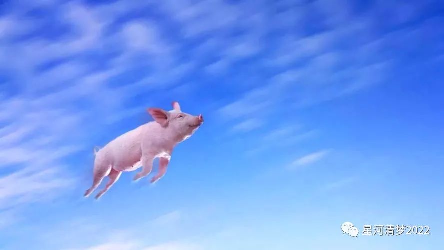 「星河观察」聊聊创业（1）：从“世界杯四大意外”说起