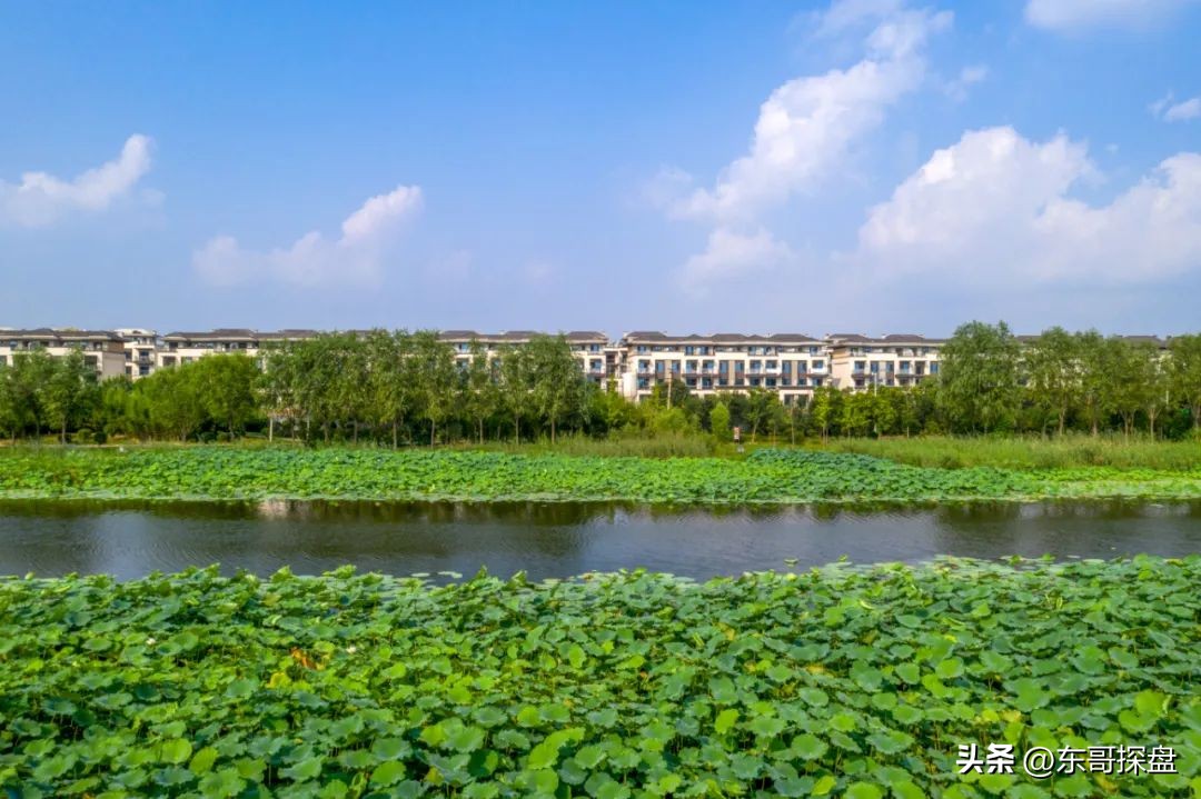 红盖头遮起来,红盖头遮羞