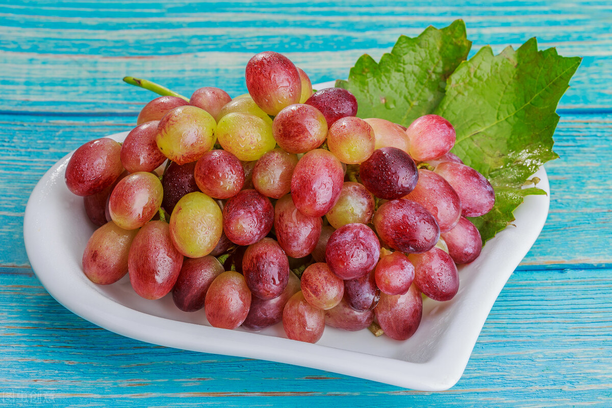 “提子”是葡萄吗？如果是，为什么要把一些葡萄又称为提子？