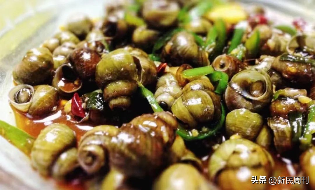 螺蛳为什么会沉在水里面,螺蛳沉在水底